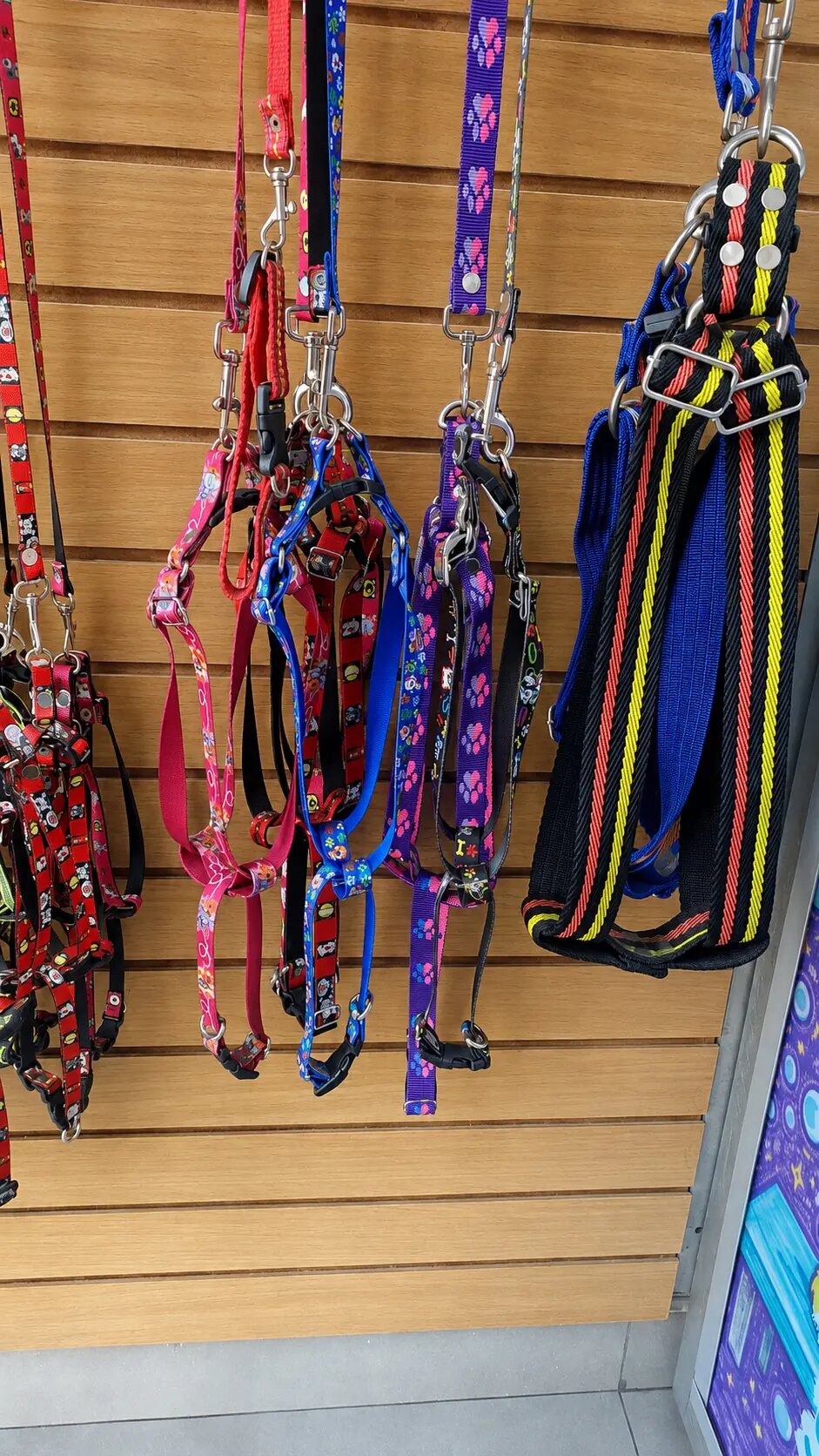 Paseos con estilo disponibles en Mascot